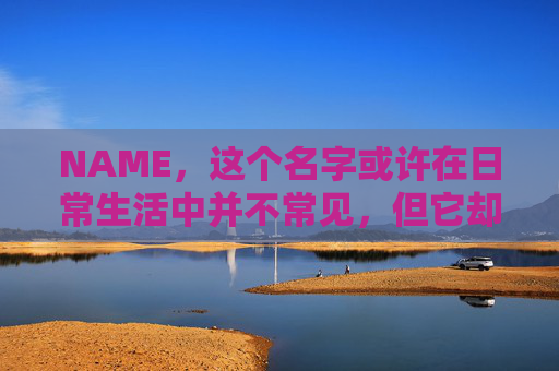 NAME，这个名字或许在日常生活中并不常见，但它却在某些领域里扮演着重要的角色。今天，让我们一起来探索这个名字背后的故事和意义