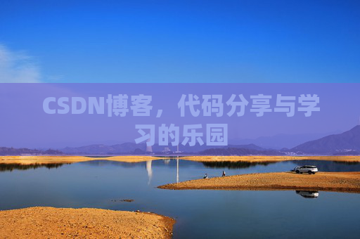 CSDN博客，代码分享与学习的乐园